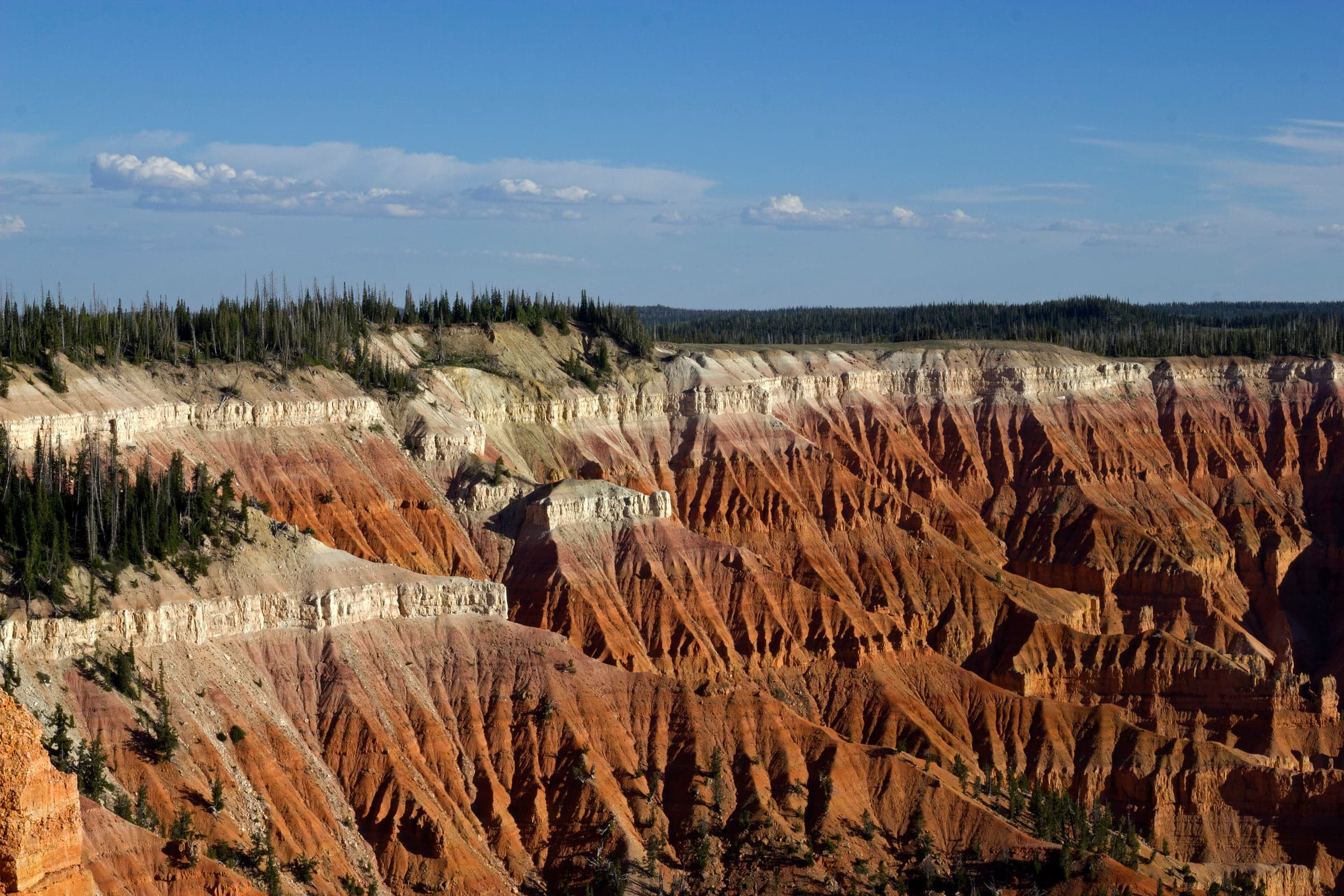 The eroded red and cream limestone amphitheatre of Cedar Breaks National Monument, rimmed with spruce and fir.