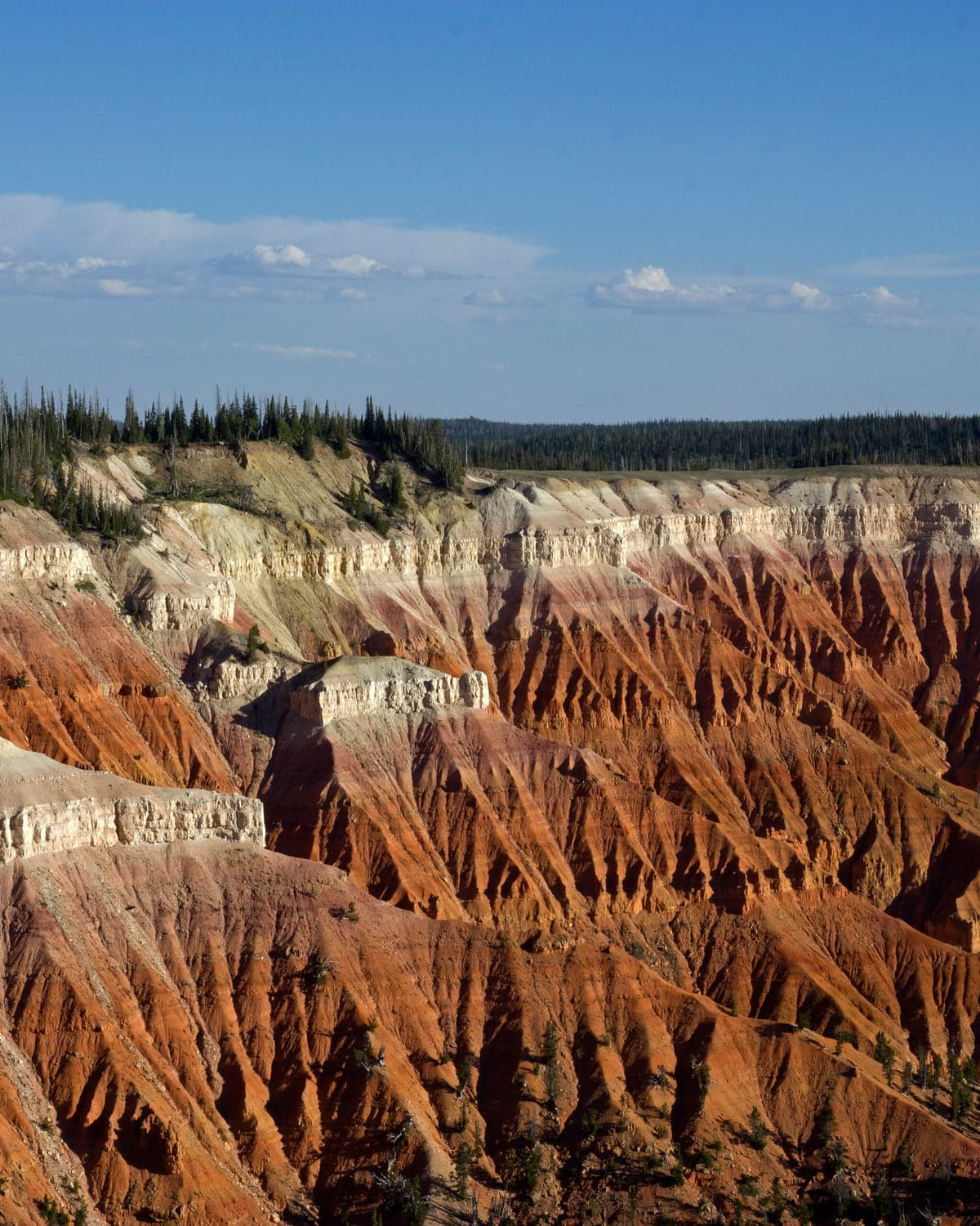 Red and cream eroded cliffs at Cedar Breaks National Monument.