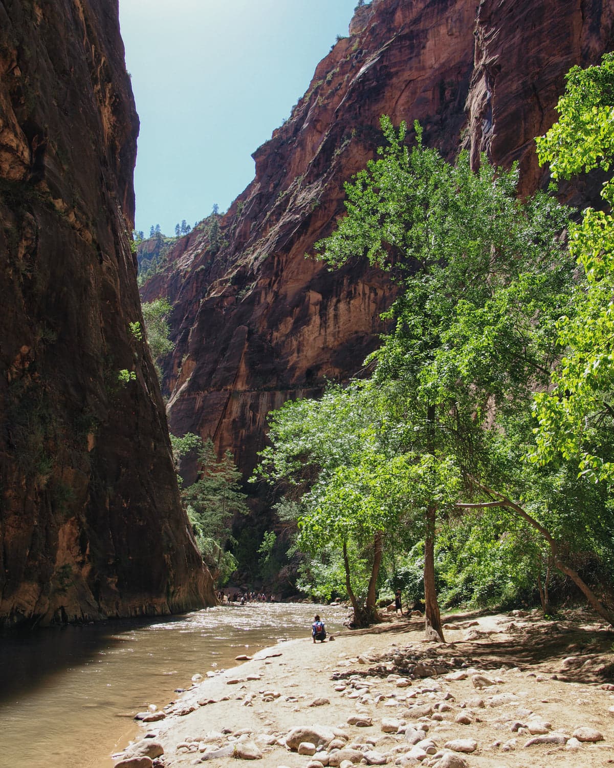The Virgin River running between sandstone walls in the Zion Narrows.